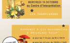 Les ateliers manuels d'octobre